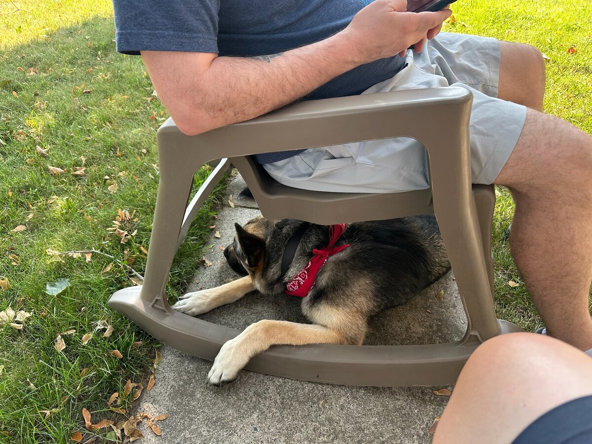 Sirius resting under the lawn chair