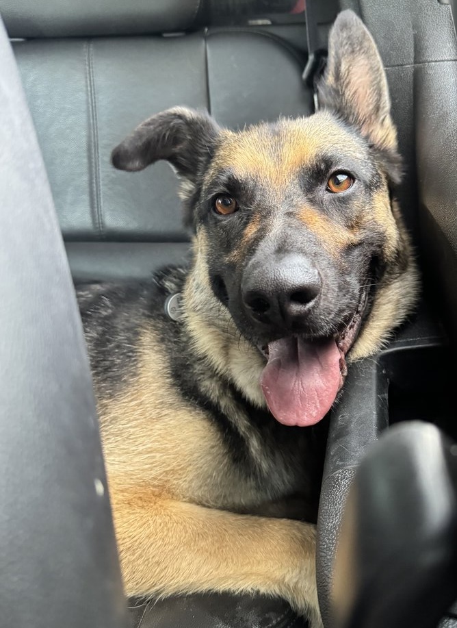 Sirius nervously sitting on the couch